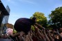 Thumbs/tn_Castlefest 2017 zondag 204.jpg